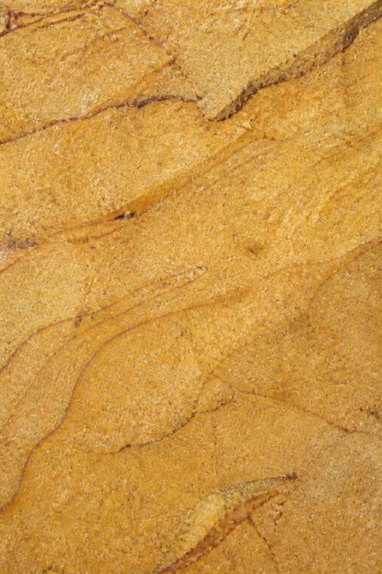 Representative surface suggesting Jaisalmer