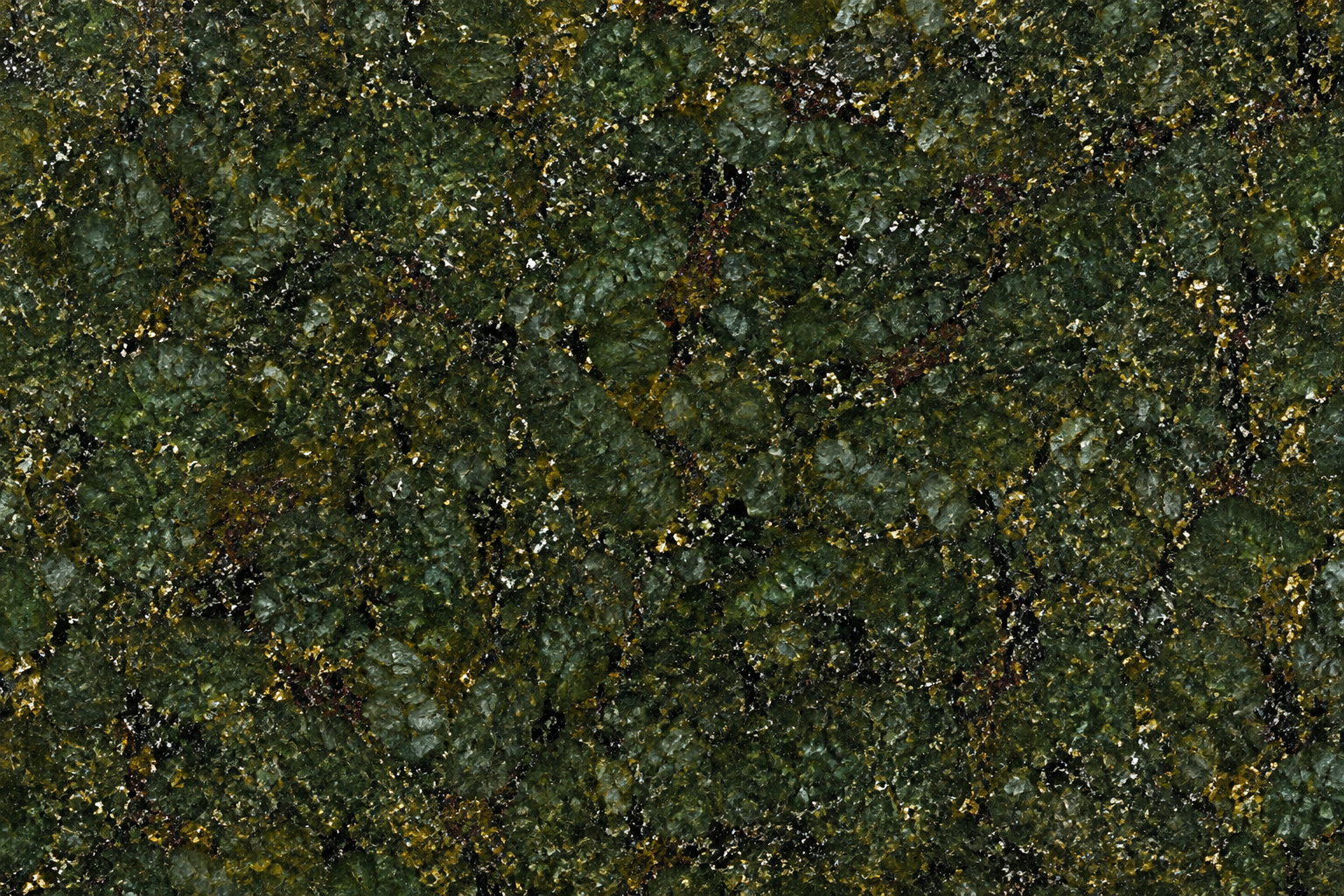 Representative surface suggesting Seaweed Green/ GreenGalaxy