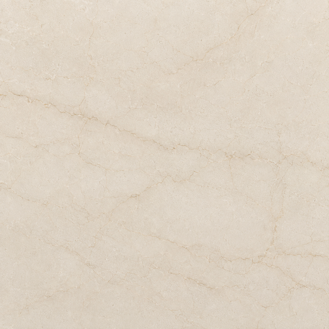 Representative surface suggesting Botticino