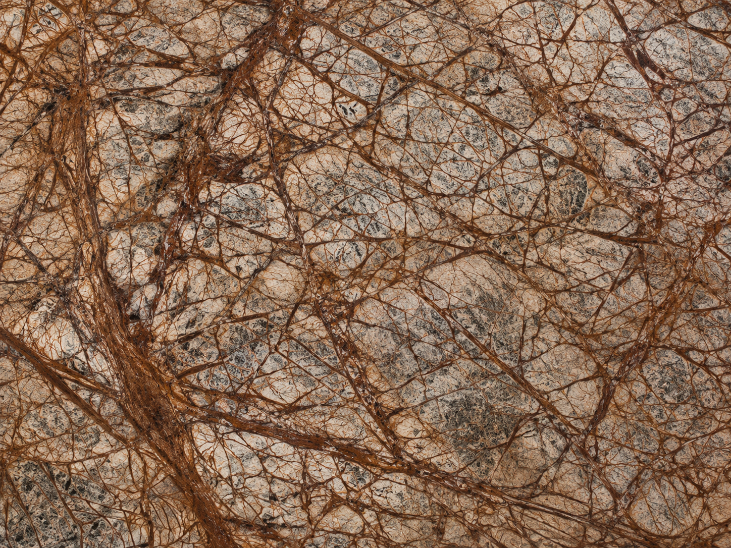 Representative surface suggesting Rainforest Brown