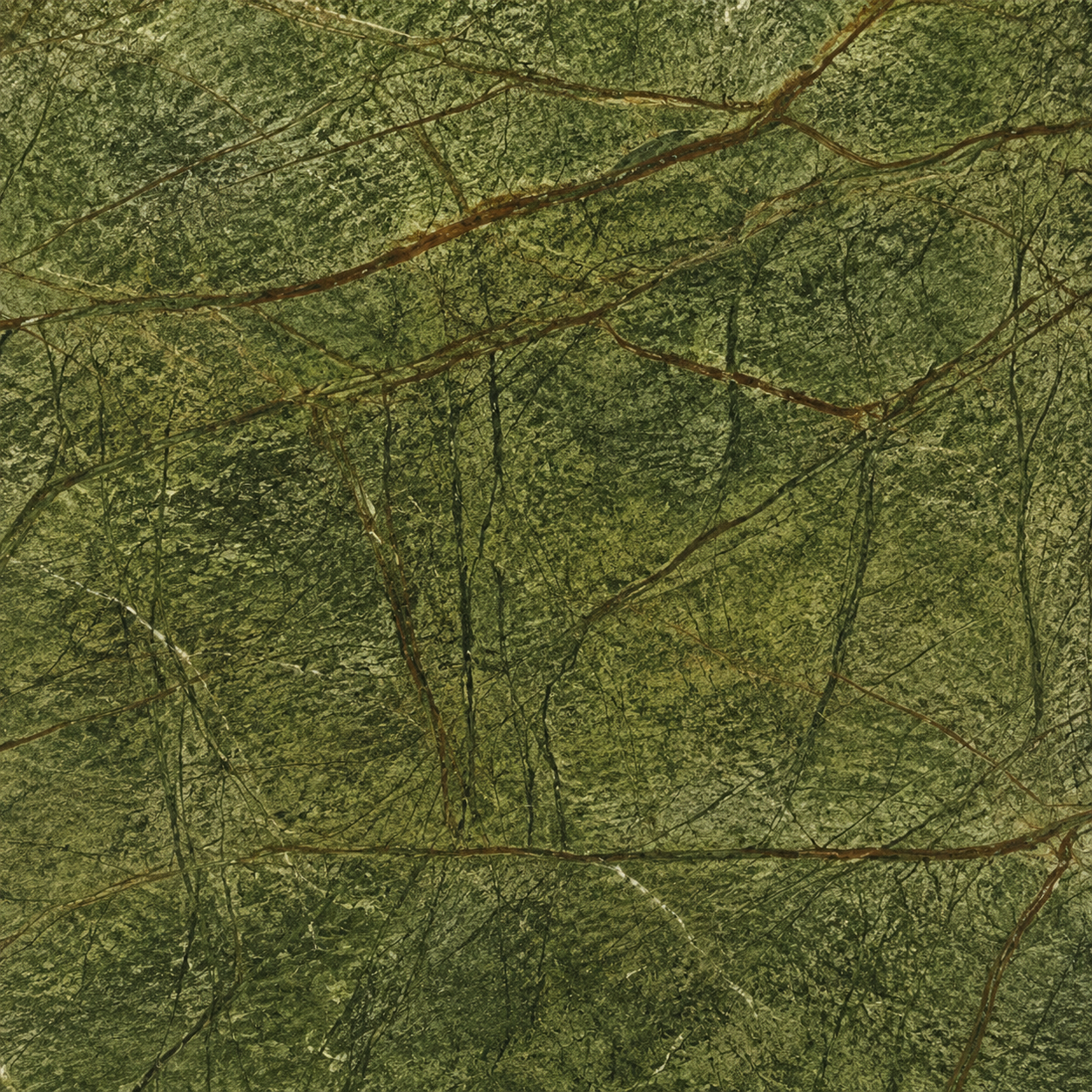 Representative surface suggesting Rainforest Green