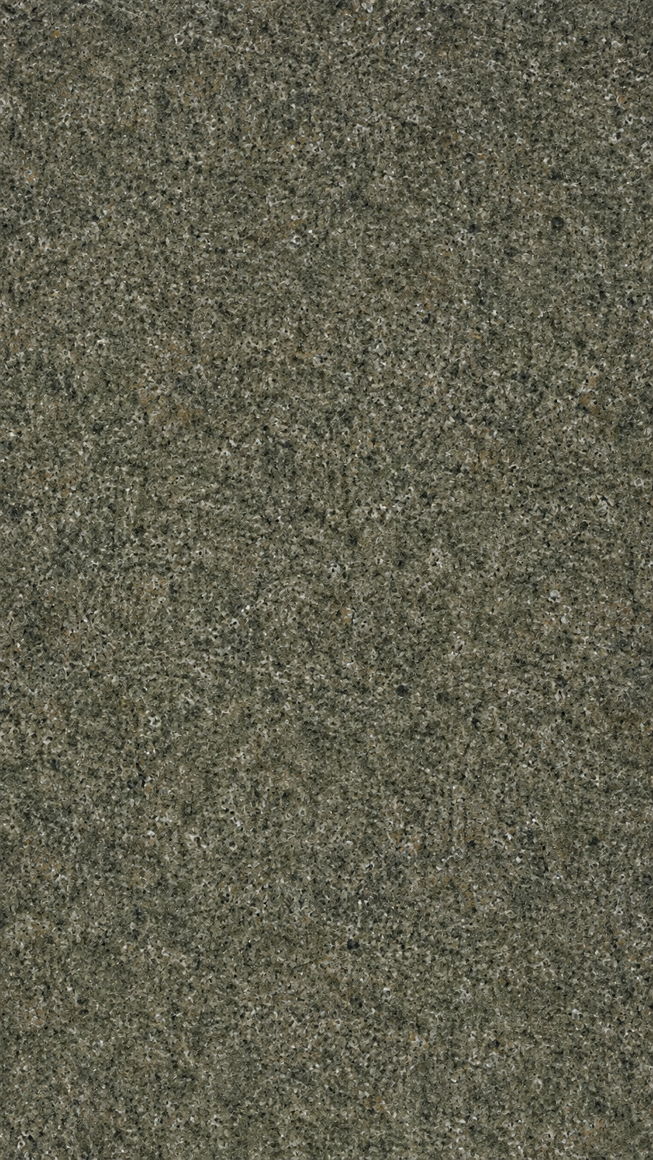 Representative surface suggesting Zed Green